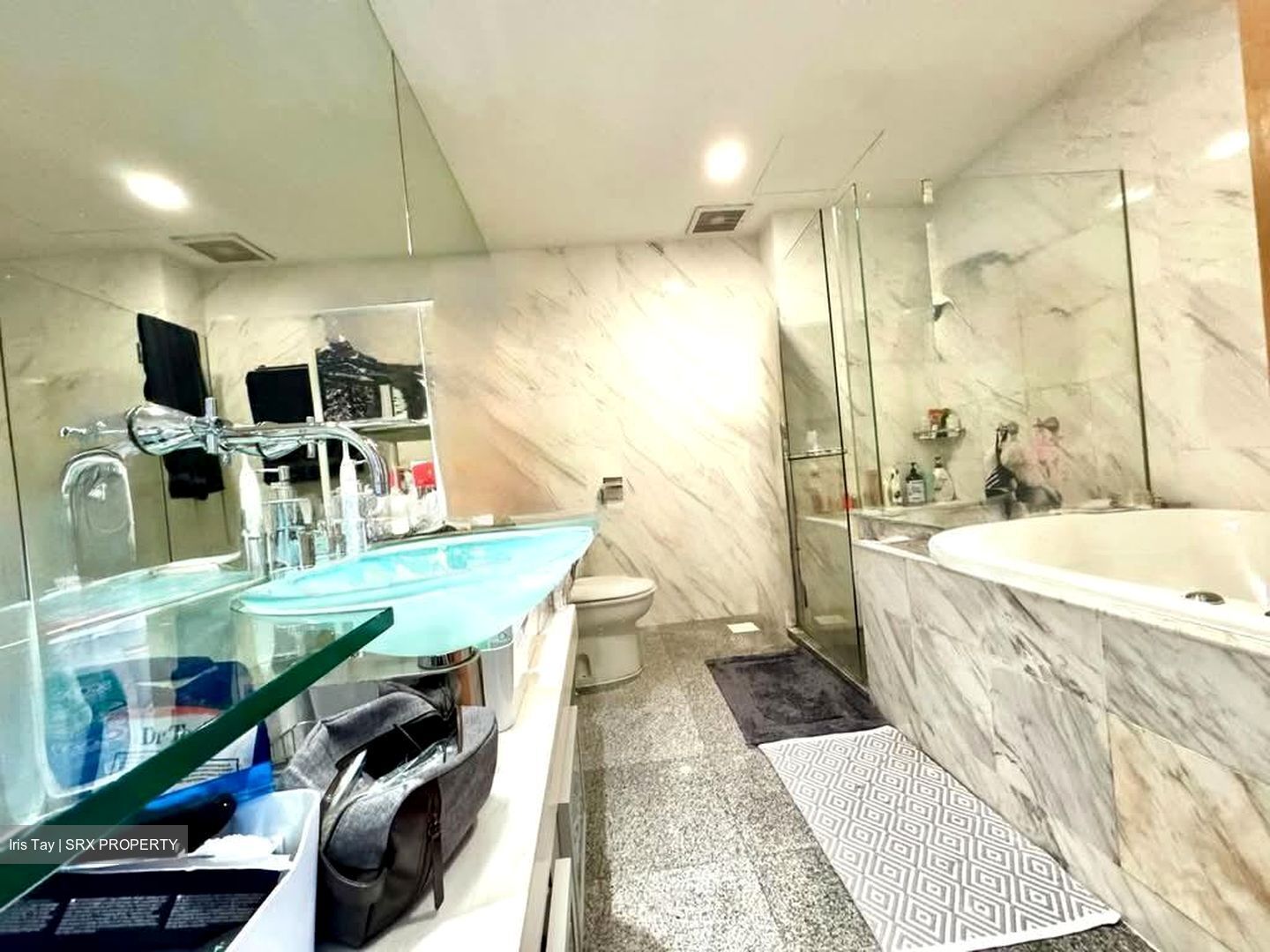 Water Place (D15), Condominium #580672561